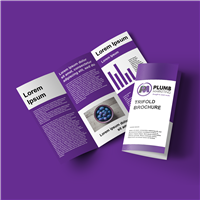 Brochures 8.5" x 11" Brochures 8.5" x 11"