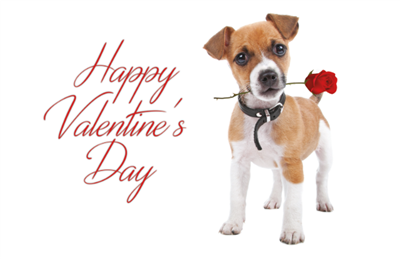 Valentines Day Postcard